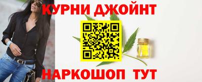 гидра Ставрополь