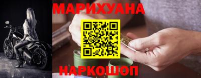 гидра Ставрополь