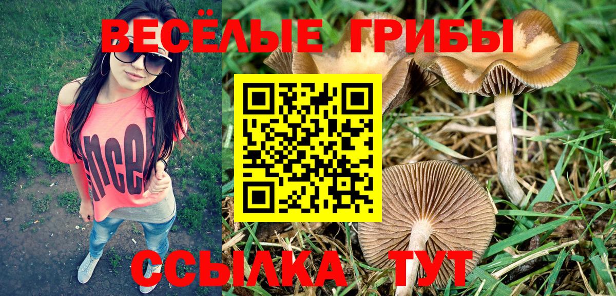 Псилоцибиновые грибы мицелий  Вход с VPN  Северобайкальск 
